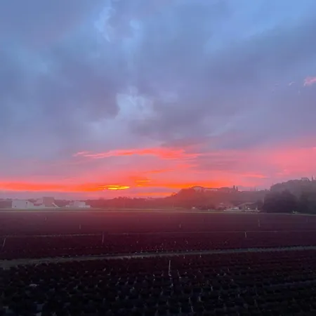 Mas Des Fleurs - Gpv * Perpignan