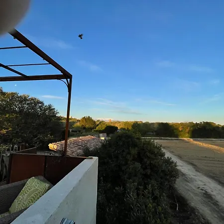 Mas Des Fleurs - Gpv 페르피냥