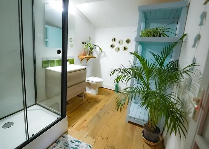 Apartment Mas Des Fleurs - Gpv *